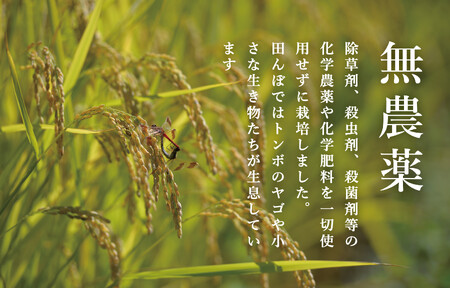 【頒布会】関智晴がつくる最高級 無農薬栽培米10kg(5kg×2個)×全12回 南魚沼産コシヒカリ