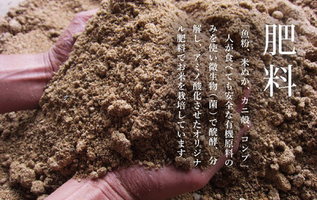 【頒布会】関智晴がつくる最高級 無農薬栽培米10kg(5kg×2個)×全12回 南魚沼産コシヒカリ