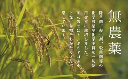 【頒布会】最高級 無農薬栽培米20kg(5kg×4個)×全12回 南魚沼産コシヒカリ