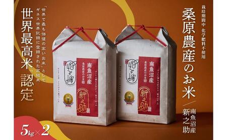 【R7年産】ギネス世界記録「世界最高米」認定 最高級南魚沼産新之助10kg(5kg×2) 桑原農産のお米