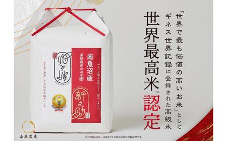 【R7年産】ギネス世界記録「世界最高米」認定 最高級南魚沼産新之助20kg(5kg×4) 桑原農産のお米