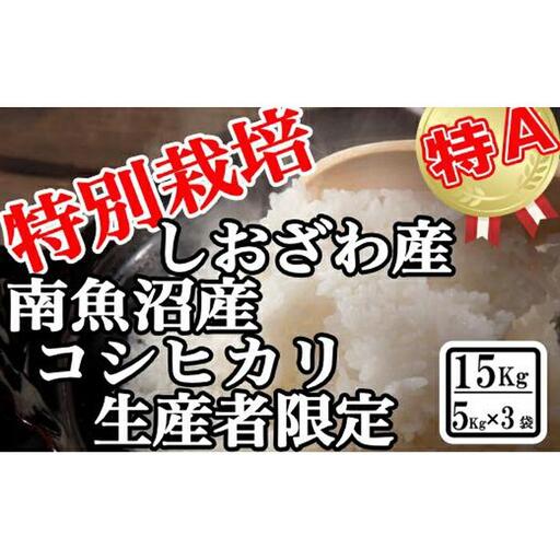 【令和7年産】特別栽培 生産者限定 南魚沼しおざわ産コシヒカリ15Kg