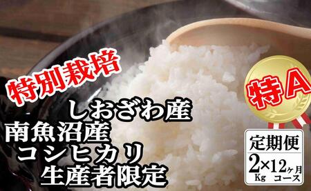 定期便：2Kg×12ヶ月】特別栽培 生産者限定 南魚沼しおざわ産コシヒカリ