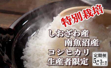 【令和7年産】【定期便：5Kg×3ヶ月】特別栽培 生産者限定  南魚沼しおざわ産コシヒカリ