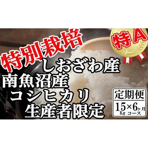 【令和7年産】【定期便：15Kg×6ヶ月】特別栽培 生産者限定  南魚沼しおざわ産コシヒカリ