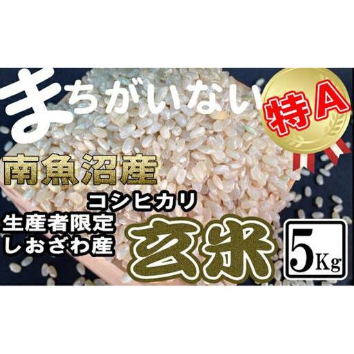 【令和7年産】玄米 生産者限定 南魚沼しおざわ産コシヒカリ5Kg
