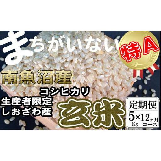 【令和7年産】【定期便】玄米 生産者限定 南魚沼しおざわ産コシヒカリ5Kg×12ヶ月