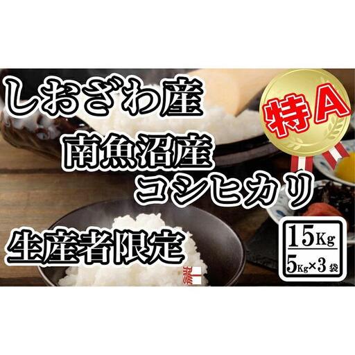 【令和7年産】生産者限定 契約栽培 南魚沼しおざわ産コシヒカリ15Kg（５Kg×3袋）【2025年10月上旬より順次発送予定】