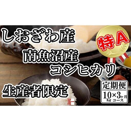 【令和7年産】【定期便：10Kg×3ヶ月】生産者限定 契約栽培 南魚沼しおざわ産コシヒカリ【2025年10月上旬より順次発送予定】
