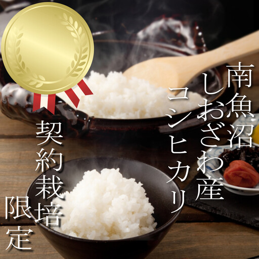 【令和7年産】【定期便：15Kg×9ヶ月】生産者限定 契約栽培 南魚沼しおざわ産コシヒカリ【2025年10月上旬より順次発送予定】