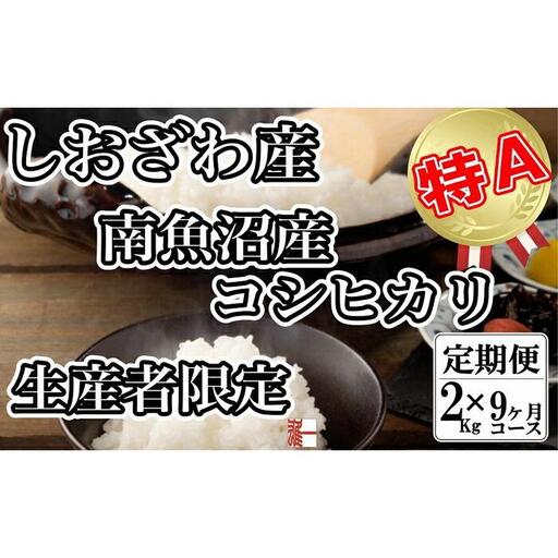 【令和7年産】【定期便：２Kg×9ヶ月】生産者限定 契約栽培 南魚沼しおざわ産コシヒカリ【2025年10月上旬より順次発送予定】
