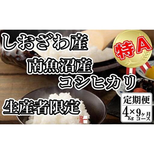 【令和7年産】【定期便：４Kg×9ヶ月】生産者限定 契約栽培 南魚沼しおざわ産コシヒカリ【2025年10月上旬より順次発送予定】