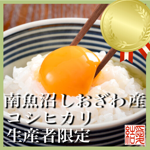 【令和7年産】【定期便／20kg×9ヶ月】生産者限定 契約栽培 南魚沼しおざわ産コシヒカリ