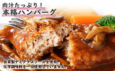 こだわり 手作り 自家製 煮込み ハンバーグ 新潟県 南魚沼市 170g×6個 約6人前