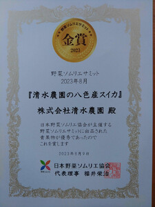 2026年7月下旬発送予定　野菜ソムリエサミット金賞受賞　清水農園の大玉スイカ（1玉）