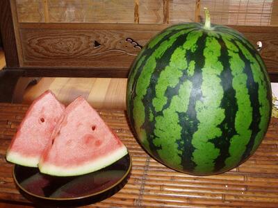 【先行予約】【新潟県 南魚沼産】八色原すいか大玉２玉【2026年7月下旬発送】【お届け日時指定不可】