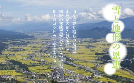 【新米発送】 無地のし 「無洗米」 令和6年産 新潟県 南魚沼産 コシヒカリ お米 2kg 精米済み（お米の美味しい炊き方ガイド付き） お米 こめ 白米 新米 こしひかり 食品 人気 おすすめ 送料無料 魚沼 南魚沼 南魚沼市 新潟県産 新潟県 精米 産直 産地直送 お取り寄せ