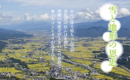 【新米発送】  令和6年産 新潟県 南魚沼産 コシヒカリ お米 5kg 精米済み（お米の美味しい炊き方ガイド付き） お米 こめ 白米 新米 こしひかり 食品 人気 おすすめ 送料無料 魚沼 南魚沼 南魚沼市 新潟県産 新潟県 精米 産直 産地直送 お取り寄せ