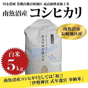 令和5年産 新米】新潟県 南魚沼産 コシヒカリ お米 こしひかり 精米