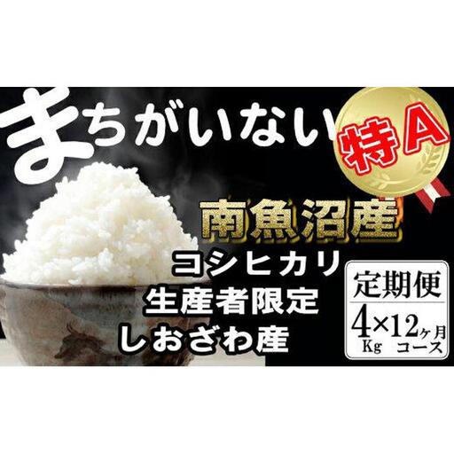 【令和7年産】【定期便】生産者限定 契約栽培　南魚沼しおざわ産コシヒカリ（4Kg×12ヶ月）