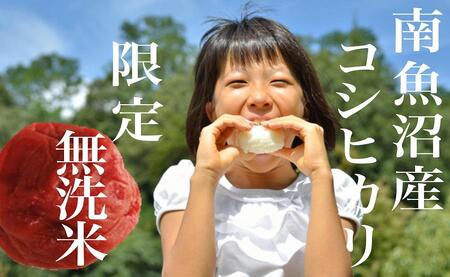 【令和7年産】【定期便】《無洗米》南魚沼産コシヒカリ２Kg×全6回