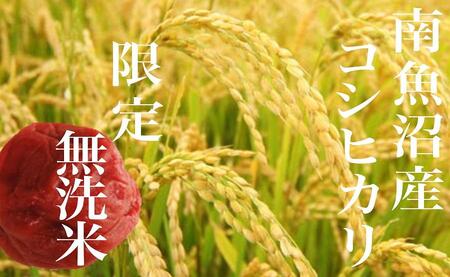 【令和7年産】【定期便】《無洗米》南魚沼産コシヒカリ２Kg×全6回
