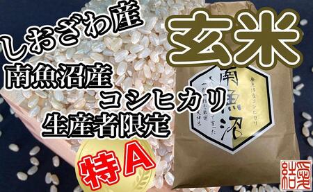 【令和7年産】【定期便】玄米 南魚沼しおざわ産コシヒカリ2Kg×6ヶ月