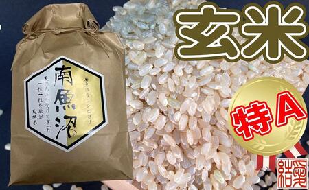 【令和7年産】【定期便】玄米 南魚沼しおざわ産コシヒカリ5Kg×6ヶ月