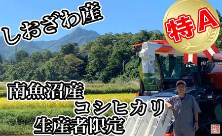 【令和7年産】【定期便】玄米 南魚沼しおざわ産コシヒカリ5Kg×6ヶ月