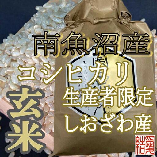 【令和7年産】【定期便】玄米 南魚沼しおざわ産コシヒカリ10Kg×9ヶ月