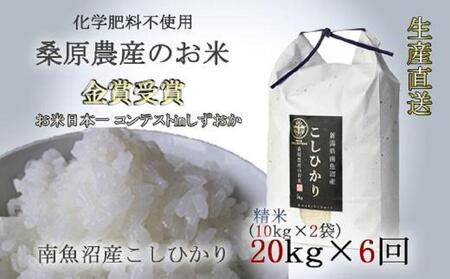 【頒布会】桑原農産のお米20kg(10kg×2)×6カ月　南魚沼産こしひかり