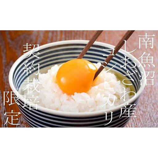 【令和7年産】【定期便】契約栽培限定 南魚沼しおざわ産コシヒカリ5Kg×12ヶ月