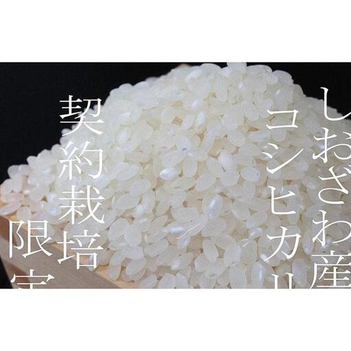 【令和7年産】【定期便】契約栽培限定 南魚沼しおざわ産コシヒカリ5Kg×12ヶ月