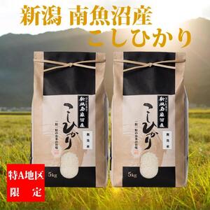 令和5年産】【厳選】南魚沼産コシヒカリ(無洗米5kg×2袋) | 新潟県