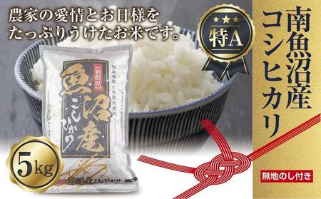 ES21 【無地熨斗】新潟県 南魚沼産 コシヒカリ お米 5kg 精米済み （お米の美味しい炊き方ガイド付き）