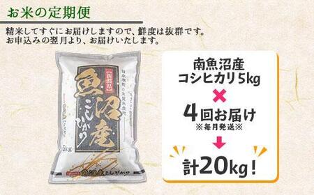 ES25 【定期便】新潟県 南魚沼産 コシヒカリ お米 5kg ×計4回 精米済み