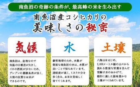 【令和7年産】【定期便】新潟県 南魚沼産 コシヒカリ お米 5kg ×計4回 精米済み 毎月発送（お米の美味しい炊き方ガイド付き）【2025年10月中旬より順次発送予定】