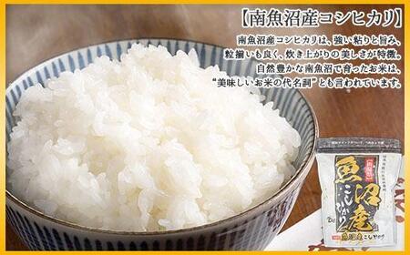 【令和7年産】【定期便】新潟県 南魚沼産 コシヒカリ お米 5kg×計6回 精米済み 半年 毎月発送 （お米の美味しい炊き方ガイド付き）【2025年10月中旬より順次発送予定】