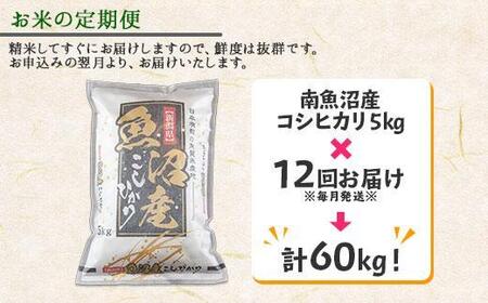 【令和7年産】【定期便】新潟県 南魚沼産 コシヒカリ お米 5kg×計12回 精米済み 年間 毎月発送 （お米の美味しい炊き方ガイド付き）【2025年10月中旬より順次発送予定】