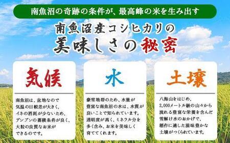 新潟県 南魚沼産 コシヒカリ 備蓄パックごはん200g 計10パック レンジ 簡単 巣籠 セット