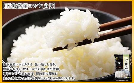 新潟県 南魚沼産 コシヒカリ 備蓄パックごはん200g 計30パック レンジ 簡単 巣籠 セット