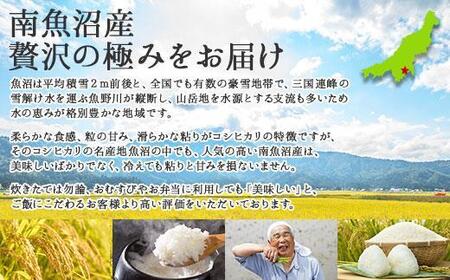 ES129 「無洗米」新潟県 南魚沼産 コシヒカリ お米 5kg×2袋 計10kg