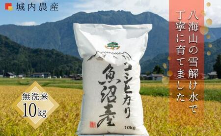 令和５年度 南魚沼産コシヒカリ 無洗米１０ｋｇ 【５割減農薬栽培米