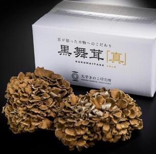 大平きのこ研究所の大黒舞茸「真」１ｋｇ