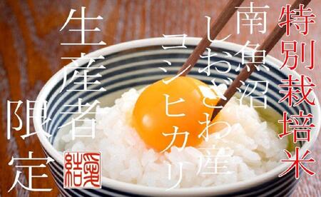 【令和7年産】【定期便10Kg×6ヶ月】【特別栽培米】 契約生産者限定  南魚沼しおざわ産コシヒカリ