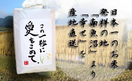 【令和7年産新米予約】この一粒に愛をこめて【四代目田中の最高傑作品】精米5kg【2025年9月中旬より順次発送予定】
