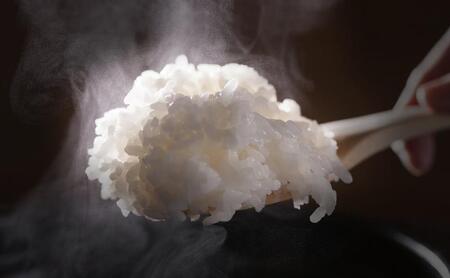 【令和7年産新米予約】この一粒に愛をこめて【四代目田中の最高傑作品】精米5kg【2025年9月中旬より順次発送予定】