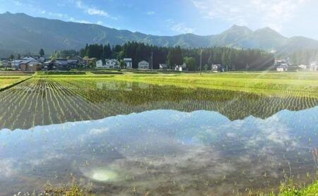 【令和7年産新米予約】この一粒に愛をこめて【四代目田中の最高傑作品】精米5kg【2025年9月中旬より順次発送予定】