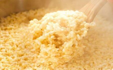 【令和7年産】この一粒に愛をこめて【四代目田中の最高傑作品】玄米10kg