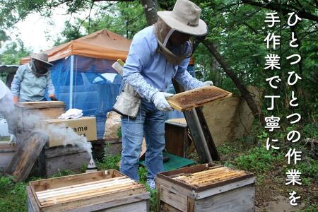【頒布会】さいき養蜂園　　天然ピュア蜂蜜　アカシア３００ｇ×２本　6か月連続お届け
